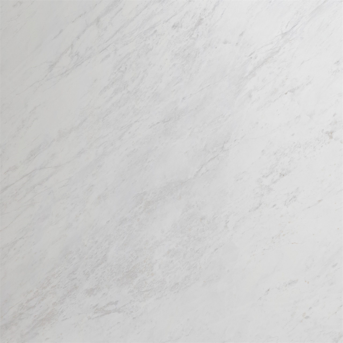 Bianco Rhino