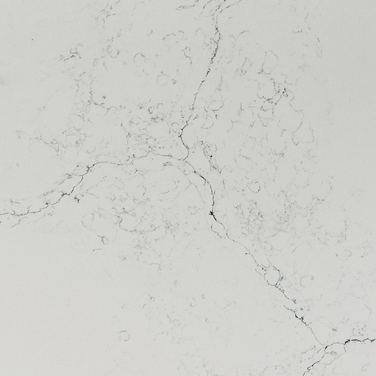 Calacatta Corian