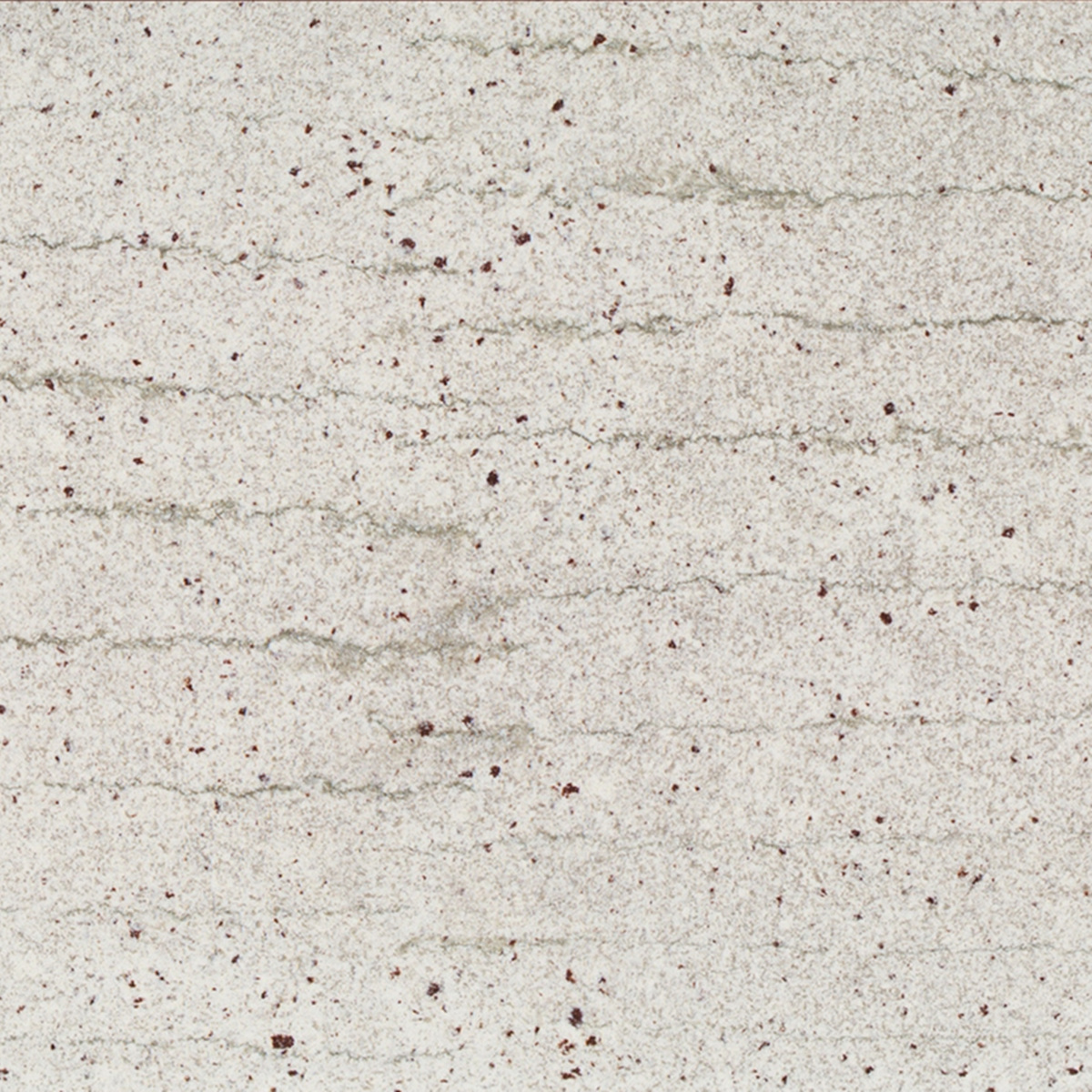Andromenta White
