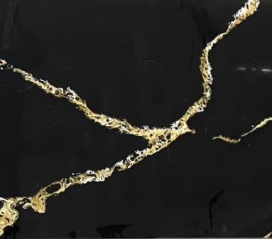 Gold Nero Marquina