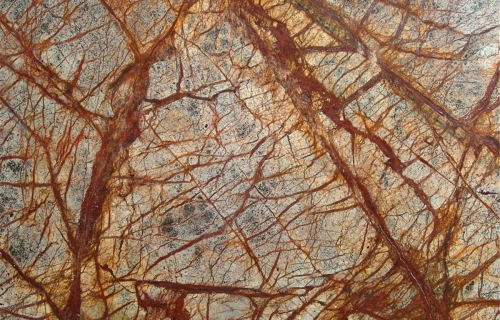 Rainforest Brown