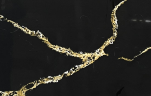 Gold Nero Marquina