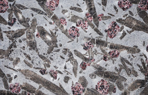 Ruby Meteorus