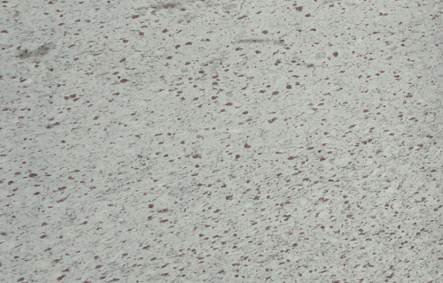 White Galaxy