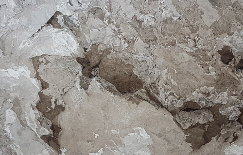 Terre di Bolgheri