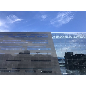 Absolute Black Granite